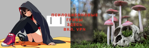 гашишное масло Медвежьегорск